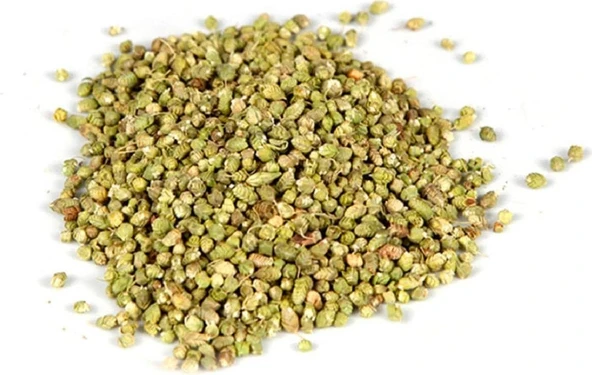 Bilye Kekik Top Kekik Kurusu 100 gr ürün görseli 1