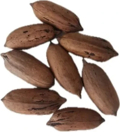 Pikan Ceviz 1 kg ürün görseli 1
