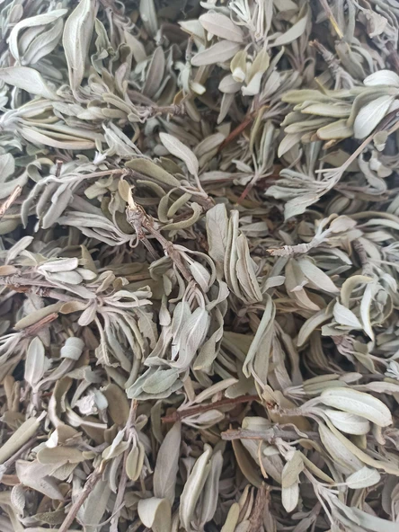 Adaçayı Toros Yayla 100 gr - Resim 3