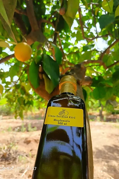 Limon Sarımsak Kürü Maydanozlu 500 ml - Resim 3