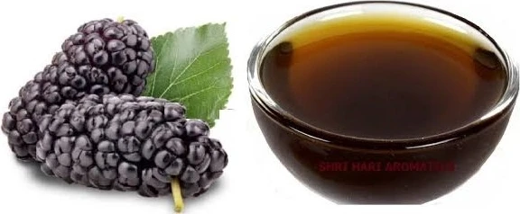 Karadut Özü 700 gr ürün görseli 1
