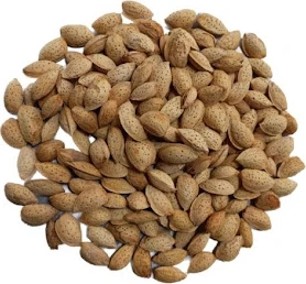 Kabuklu Badem (Diş) 1 kg ürün görseli 1