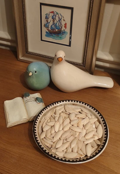 Sade Doğal Kabak Çekirdeği 250 gr ürün görseli 1