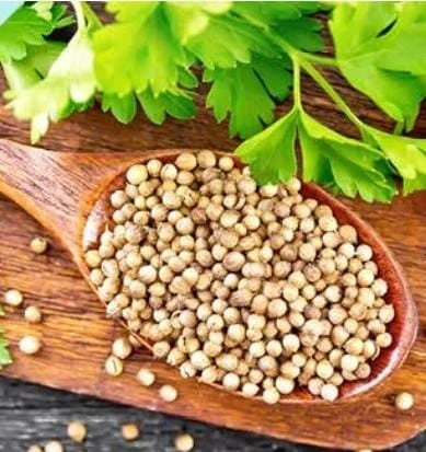 Kişniş (Aşotu) Tohumu 250 gr ürün görseli 1