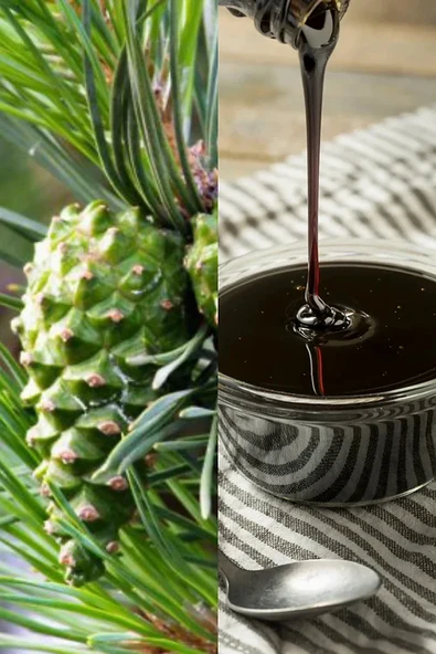 Çam Kozalağı Pekmezi 800 gr ürün görseli 1