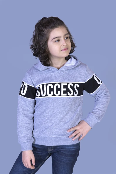 Toontoy Erkek Çocuk Garnisi Baskılı Kapüşonlu Sweatshirt ürün görseli 1