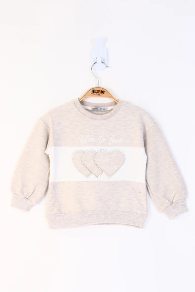 Toontoy Kız Çocuk Kalp Nakışlı Sweatshirt ürün görseli 1