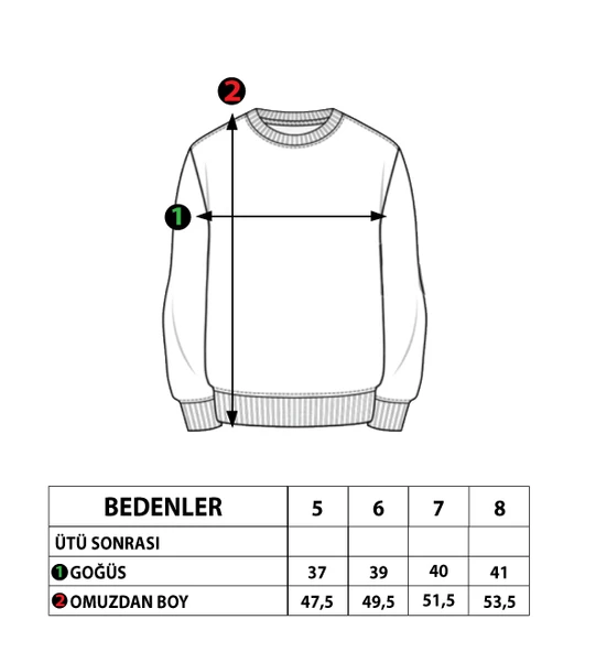Toontoy Erkek Çocuk Baskılı Sweatshirt ürün görseli 1