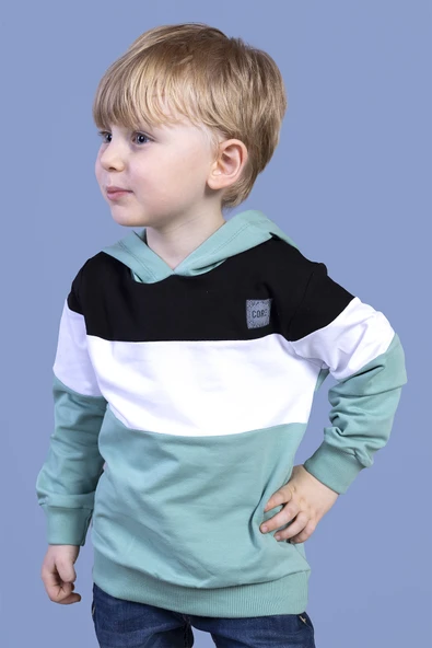 Toontoy Erkek Çocuk Kapüşonlu Garni Detaylı Sweatshirt ürün görseli 1