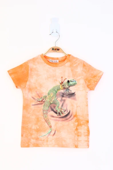 Toontoy Erkek Çocuk Batik Desenli Kertenkele Baskılı Tişört ürün görseli 1