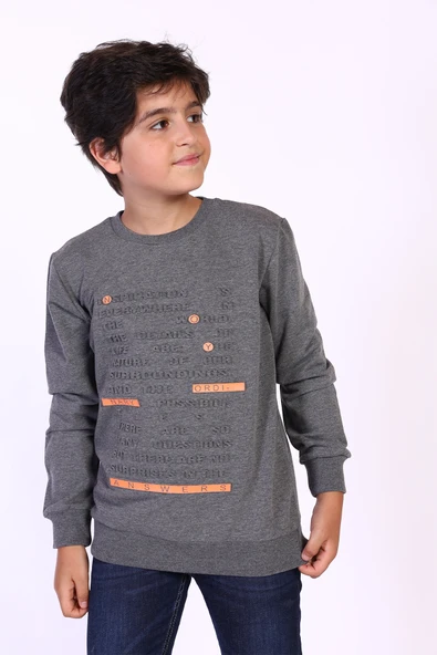 Toontoy Erkek Çocuk Kabartma Baskılı Sweatshirt ürün görseli 1