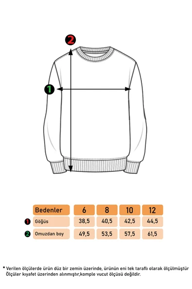 Toontoy Erkek Çocuk Kabartma Baskılı Sweatshirt ürün görseli 1