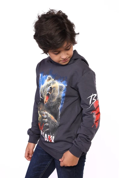Toontoy Erkek Çocuk  Aslan ve Blood Clan Baskılı Sweatshirt ürün görseli 1