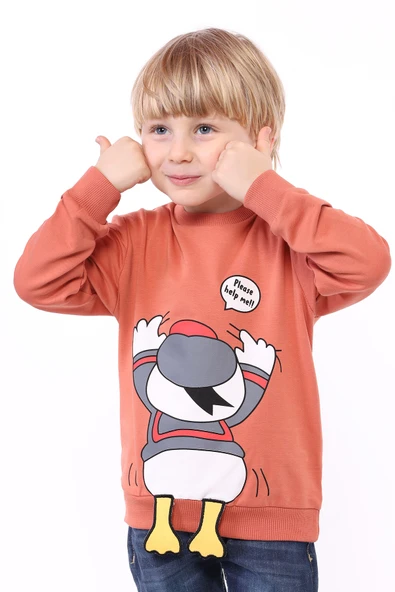 Toontoy Erkek Çocuk Baskılı Sweatshirt ürün görseli 1