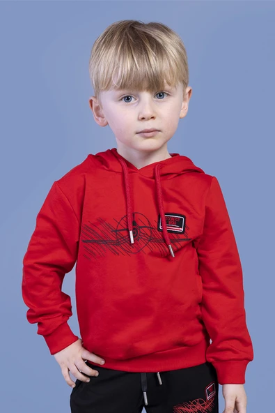 Toontoy Erkek Çocuk Kapüşonlu Baskılı Sweatshirt ürün görseli 1