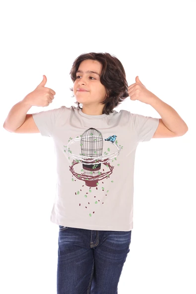 Toontoy Erkek Çocuk Kafes Baskılı Tişört ürün görseli 1