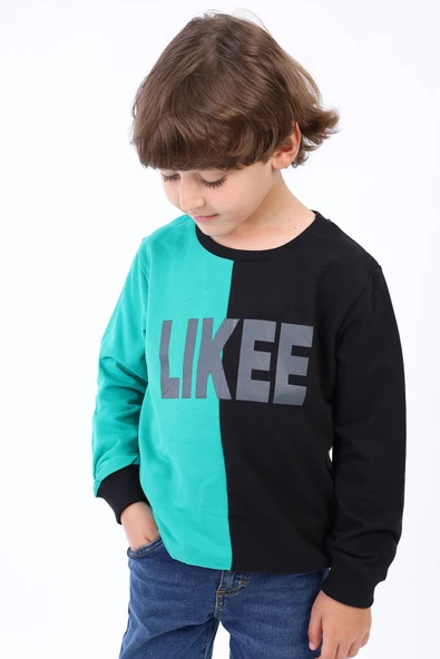 Toontoy Erkek Çocuk İki Renkli Baskılı Sweatshirt ürün görseli 1