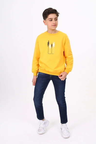 Toontoy Erkek Çocuk Baskılı Sweatshirt ürün görseli 1