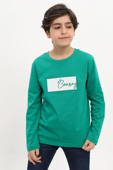 Toontoy Erkek Çocuk Nakışlı Tişört ürün görseli 1