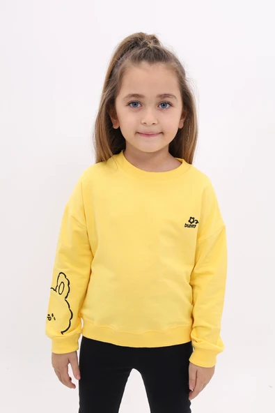 Toontoy Kız Çocuk Nakışlı Sweatshirt ürün görseli 1