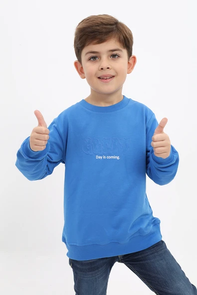 Toontoy Erkek Çocuk Baskılı Sweatshirt ürün görseli 1