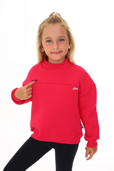Toontoy Kız Çocuk Nakışlı Sweatshirt ürün görseli 1