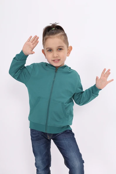 Toontoy Erkek Çocuk Hırka ürün görseli 1