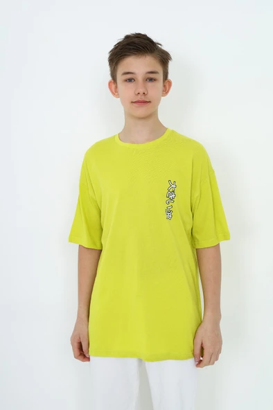 Toontoy Erkek Çocuk  Göğüsü Yazı  Baskılı Tişört ürün görseli 1