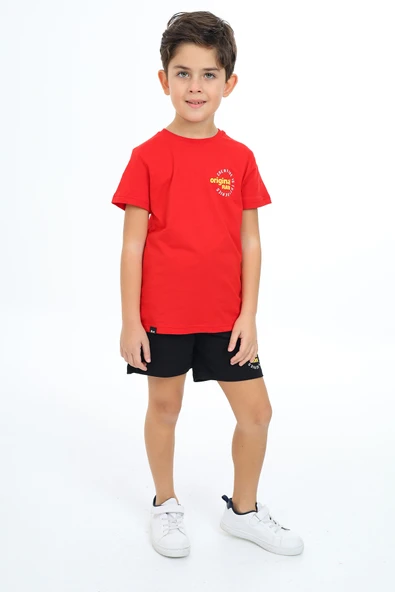 Toontoy Erkek Çocuk Baskılı Şortlu Takım ürün görseli 1