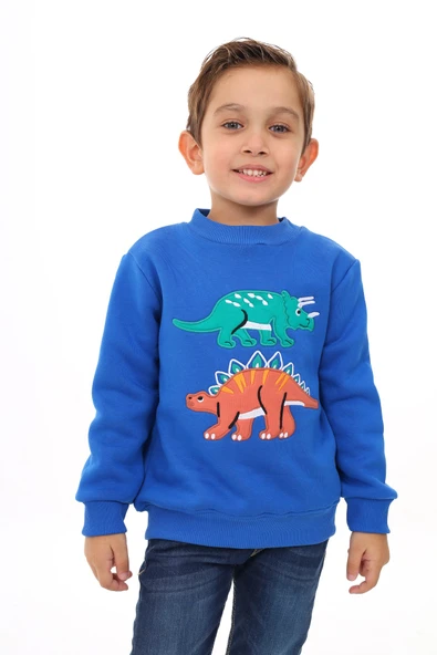 Toontoy Erkek Çocuk Nakışlı Sweatshirt ürün görseli 1