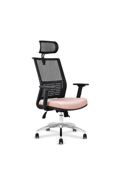 Koltukstilim    Twing Fileli Yönetici Koltuğu Ofis Koltuğu ürün görseli 1