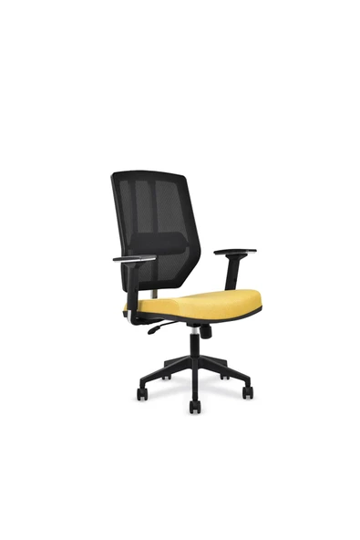 Koltukstilim    Legacy Çalışma Koltuğu Ofis Koltuğu Ofis Çalışma Koltuğu ürün görseli 1