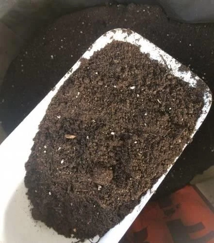 Torf Toprak, Fide, Çiçek, Bitki yetiştirme Torfu 1 Kg ürün görseli 1