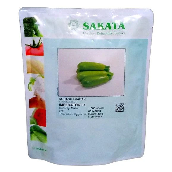 Sakata Imperaot F1 Kabak Tohumu (1000 adet) ürün görseli 1