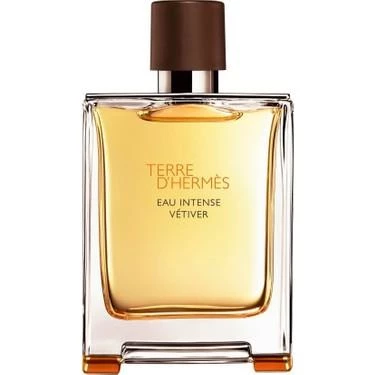 Hermes Terre D'Hermes Eau Intense Vetiver EDP 200 ml Erkek Parfüm ürün görseli 1