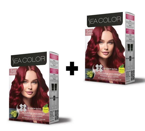 SEA COLOR 4.65 Şarap Kızılı Set Boya ürün görseli 1