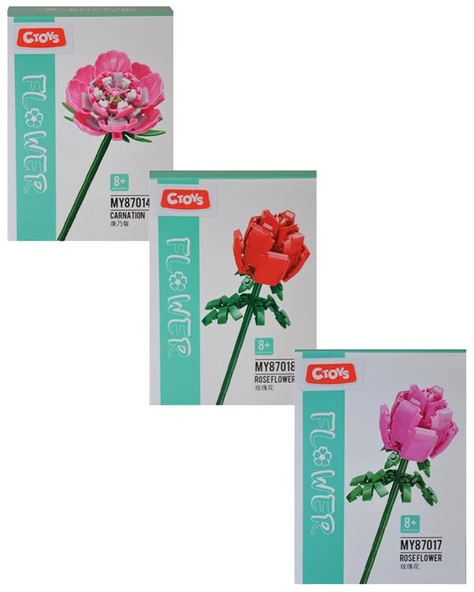 Ctoys Rose ve Carnation Flower Block 3lü Set ürün görseli 1