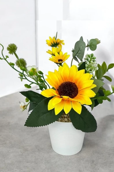 Nettenevime Yapay Çiçek Ay Çiçeği Aranjmanı Beyaz Plastik Saksılı 25cm Dekoratif Süs Çiçeği ürün görseli 1