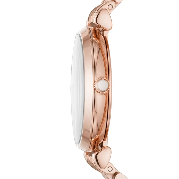 Emporio Armani AR11244 Bayan Kol Saati - Resim 2