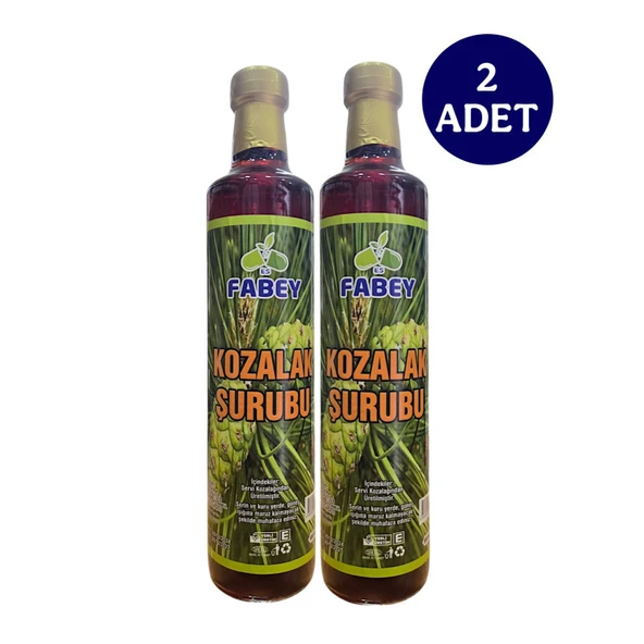 Fabey Selvi Kozalak Şurubu 500ml 2 Adet ürün görseli 1