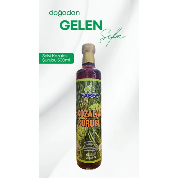 Fabey Selvi Kozalak Şurubu 500ml ürün görseli 1