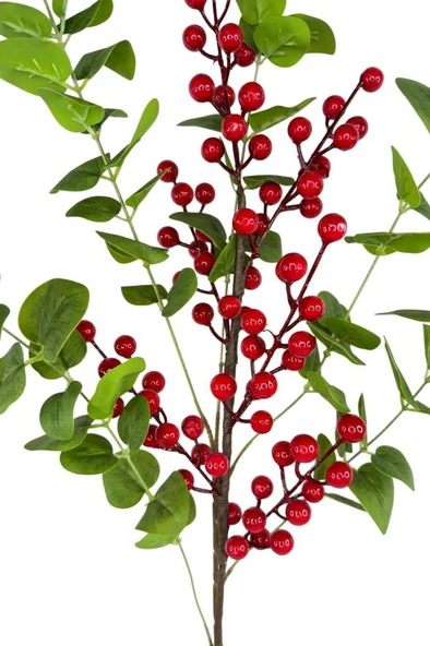 Nettenevime Yapay Çiçek Okaliptus ve Kokina 90cm Uzun Dal ürün görseli 1