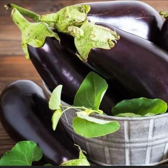 Ata Tohumları Geleneksel Kebablık Mangallık Antep Balcan Patlıcan Tohumu (70 tohum) ürün görseli 1