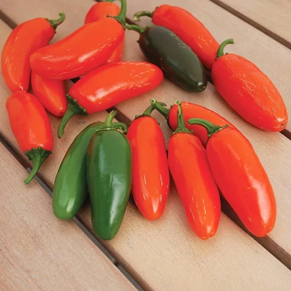 Nadir Ata Tohumları Zehir Gibi Acı Çok Acı Gialla Jalapeno Biber Tohumu (10 tohum) ürün görseli 1