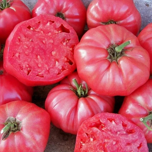 Ata Tohumları Kahvaltılık Sofralık Ege Pembesi Domatesi Tohumu (20 tohum) ürün görseli 1