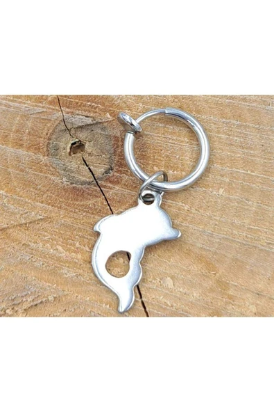 Çelik Gümüş Renk Figürlü Piercing ürün görseli 1