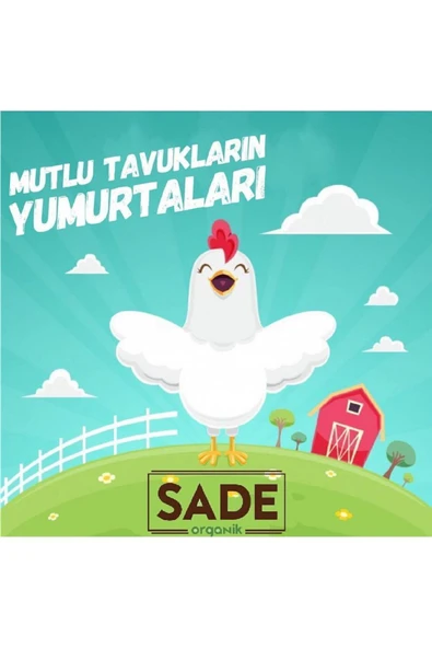Sade Organik 30'lu Yumurta - Resim 5