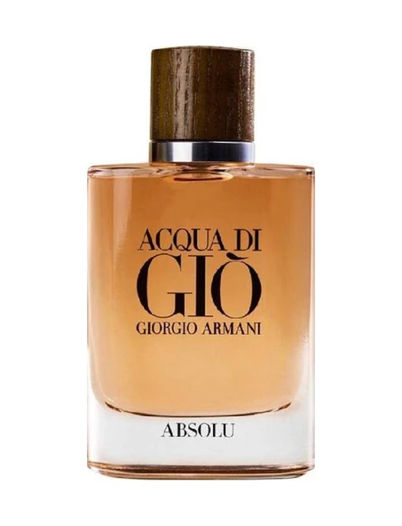 Giorgio Armani Acqua Di Absolu Erkek Parfüm EDP 100 ML ürün görseli 1