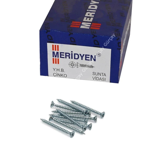 Meridyen Sunta Vidası 6.0x70mm 100 Adet ürün görseli 1