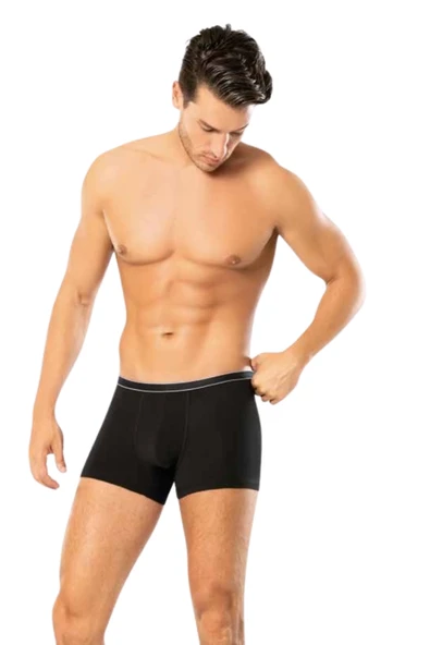 Looksense Erkek Dude İnce Bel Şeritli Lastikli Likralı Boxer 1201 ürün görseli 1
